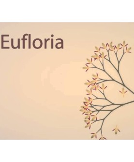 Eufloria HD Deluxe Edition Steam Key GLOBAL